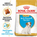 Royal Canin BHN Jack Russel Puppy - sucha karma dla szczeniąt - 3 kg - Galeria zdjęcie 2