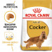 ROYAL CANIN BHN Cocker Adult - sucha karma dla psa dorosłego - 12 kg - Galeria zdjęcie 2