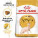 ROYAL CANIN FBN Sphynx Adult - sucha karma dla dorosłego kota - 2kg - Galeria zdjęcie 12