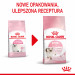 ROYAL CANIN FHN Kitten - sucha karma dla kociąt - 10kg - Galeria zdjęcie 3