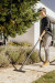 Odkurzacz KARCHER KWD 3 S V-17/4/20 Anniversary Edition - 1.628-449.0 - Galeria zdjęcie 6