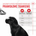 ROYAL CANIN Supplements Dog Immunity & Digest Puppy - suplementy dla psa - 100g - Galeria zdjęcie 4