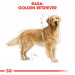 ROYAL CANIN BHN Golden Retriever - sucha karma dla psa dorosłego - 12 kg - Galeria zdjęcie 3