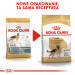ROYAL CANIN BHN German Sh Ad - sucha karma dla psa dorosłego - 11 kg - Galeria zdjęcie 8