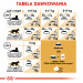 Royal Canin FBN Maine Coon Adult - sucha karma dla kota dorosłego - 4 kg - Galeria zdjęcie 5