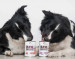 VET EXPERT Raw Paleo Adult Monoprotein Wołowina - mokra karma dla psa - 800g - Galeria zdjęcie 3