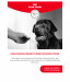 ROYAL CANIN Supplements Dog Digestion Adult - suplementy dla psa - 160g - Galeria zdjęcie 5