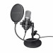 Mikrofon TRUST GXT 252 21753 Black (21753) - Galeria zdjęcie 1