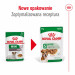 ROYAL CANIN Mini Ageing - mokra karma dla psa - 12x85 g - Galeria zdjęcie 3