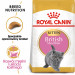 Royal Canin FBN British Shorthair Kitten - sucha karma dla kociąt - 2 kg - Galeria zdjęcie 3