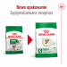 ROYAL CANIN Mini Ageing 12+ - sucha karma dla psa - 3,5 kg - Galeria zdjęcie 2