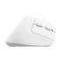 Mysz Trust BAYO II ERGONOMIC WIRELESS White (25398) - Galeria zdjęcie 5