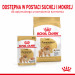 ROYAL CANIN BHN Pomeranian Adult - sucha karma dla psa dorosłego - 3kg - Galeria zdjęcie 2