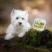 VET EXPERT Raw Paleo Pate Mini Adult Indyk - mokra karma dla psa - 150g - Galeria zdjęcie 3