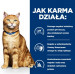 HILL'S Prescription Diet C/D Urinary Care - sucha karma dla kota - 3 kg - Galeria zdjęcie 4