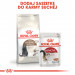 ROYAL CANIN Senior Ageing 12+ Sterilised - sucha karma dla kota - 4 kg - Galeria zdjęcie 3