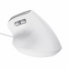 Mysz Trust BAYO II ERGONOMIC White (25397) - Galeria zdjęcie 6