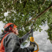 Pilarka łańcuchowa 18V DCMPS567N-XJ DEWALT - Galeria zdjęcie 2