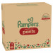 Pampers premium care rozmiar 3 6-11 kg 144 szt. - Galeria zdjęcie 6