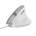 Mysz Trust BAYO II ERGONOMIC White (25397) - Galeria zdjęcie 1