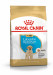 ROYAL CANIN BHN Labrador Puppy - sucha karma dla szczeniąt - 12kg - Galeria zdjęcie 1