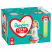 08006540069530_80751229_PRODUCT_IMAGE_IN_PACKAGE_FRONT_LEFT_3000X3000_3_POLISH_DIAPERS_02_86740386_20230301.jpg