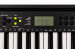 CASIO CTK-240 - Keyboard - Galeria zdjęcie 5