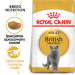 ROYAL CANIN FBN British Shorthair Adult - sucha karma dla dorosłego kota - 2 kg - Galeria zdjęcie 8