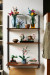 LEGO Icons 10315 Zaciszny ogród - Galeria zdjęcie 12