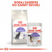 ROYAL CANIN FHN Regular Sterilised 37 - sucha karma dla kota dorosłego - 10 kg - Galeria zdjęcie 2