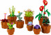 Lego Icons 10329 Małe roślinki - Galeria zdjęcie 3