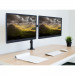 TECHLY PODWÓJNE RAMIĘ BIURKOWE 2X LED/LCD 13-27 CA - Galeria zdjęcie 5