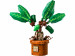 LEGO Harry Potter 76433 Mandragora - Galeria zdjęcie 3