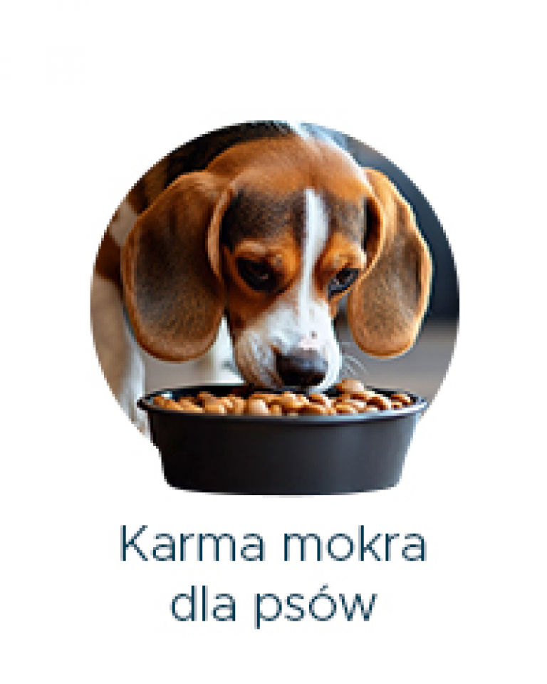 karma mokra dla psów
