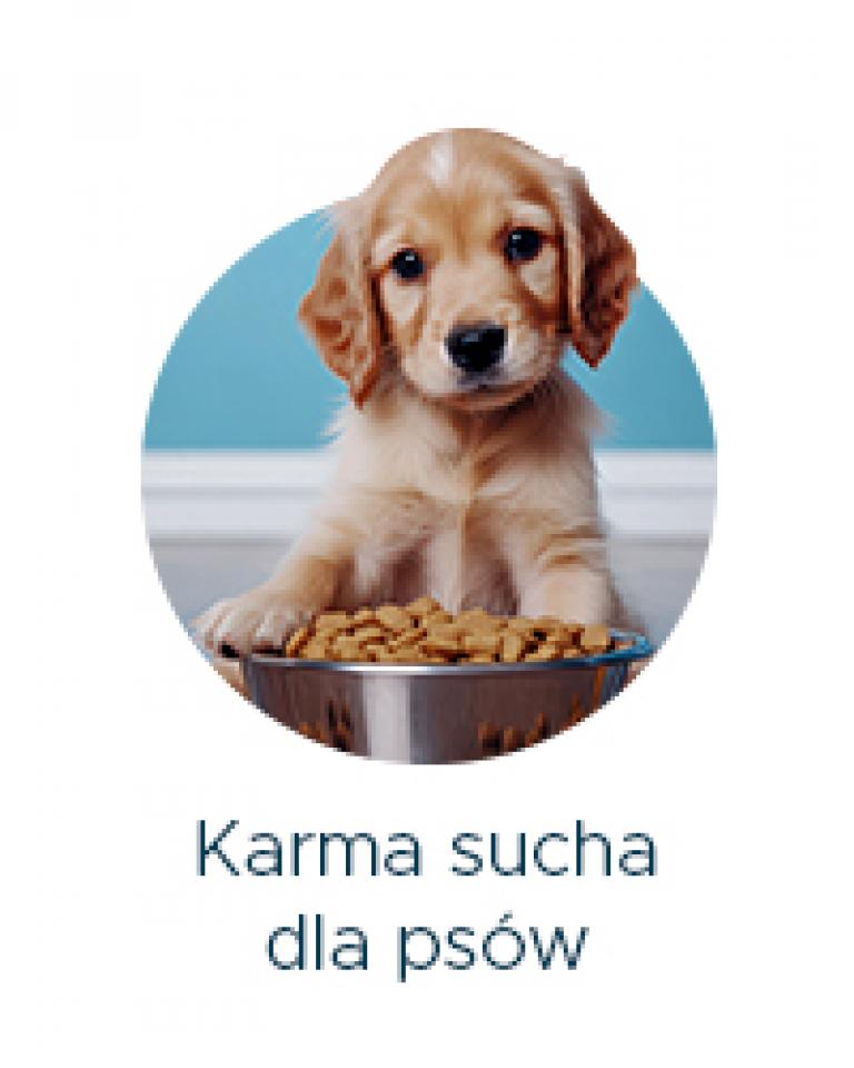 karma sucha dla psów