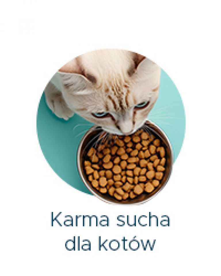 karma sucha dla kotów
