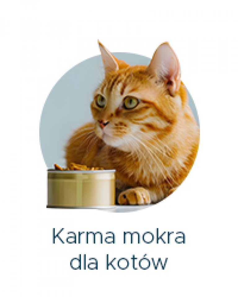 Karma mokra dla kotów