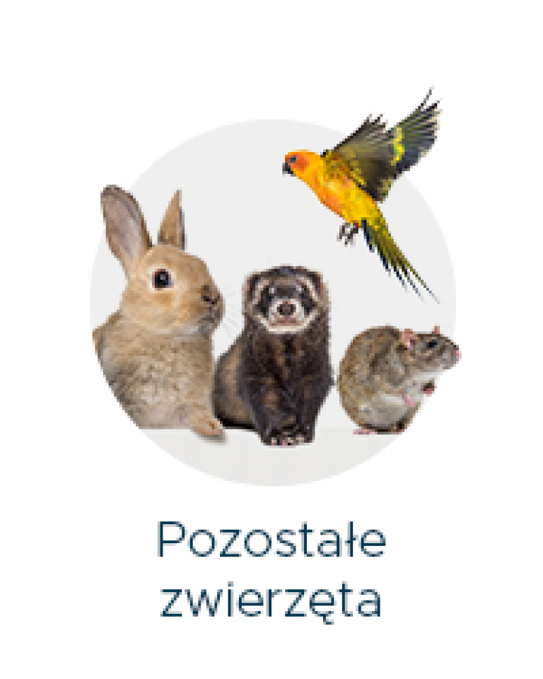 Pozostale zwierzęta