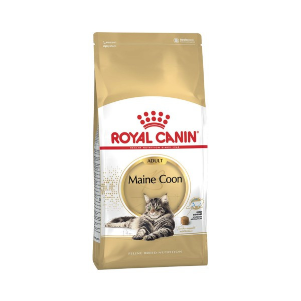 Royal Canin FBN Maine Coon Adult - sucha karma dla kota dorosłego - 4 kg - zdjęcie 1