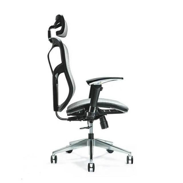 Ergonomiczny fotel biurowy ERGO 500 szary - zdjęcie 1