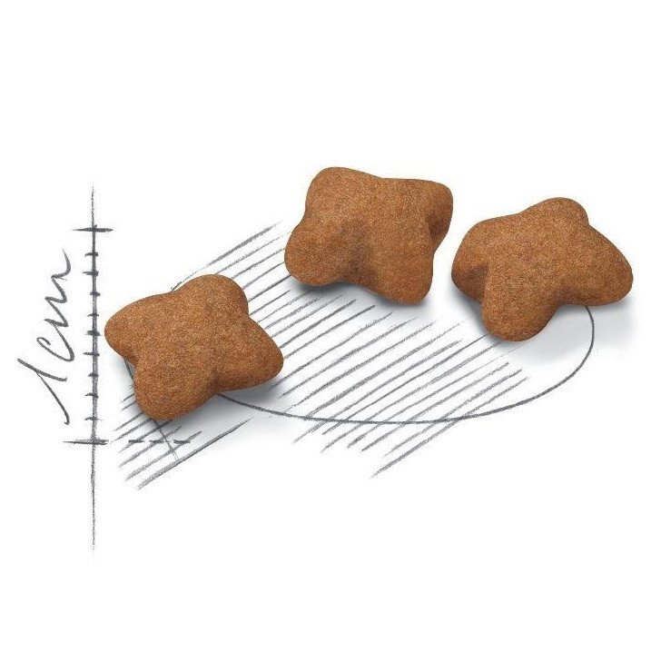 ROYAL CANIN Kitten Sterilised - sucha karma dla kociąt - 3,5 kg - zdjęcie 2