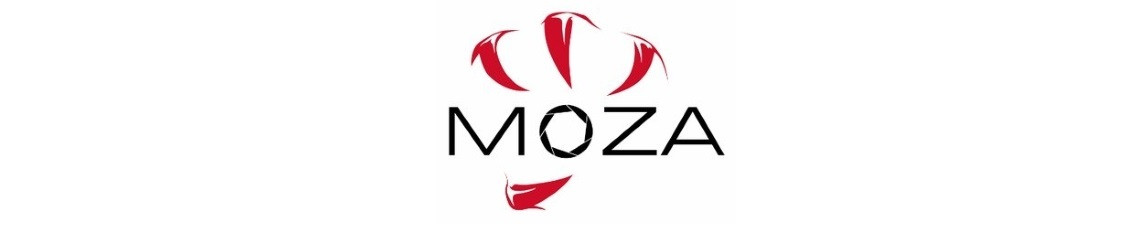Gimbal do aparatu Moza AirCross 2 - zdjęcie 1