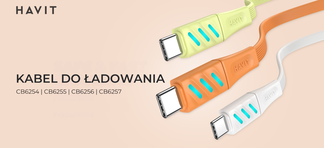 Havit CB6254 - kabel do ładowania USB typu C do USB typu C, 1 m (czarny) - zdjęcie 1