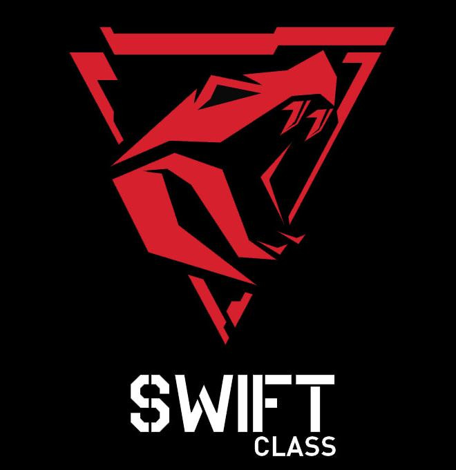 Karta graf. XFX SWIFT RX 9060XT OC 3-FAN 16GB - zdjęcie 2