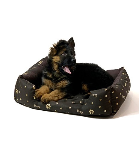 GO GIFT Kostka Legowisko dla psa L - brązowy - 65x45x15 cm - zdjęcie 1