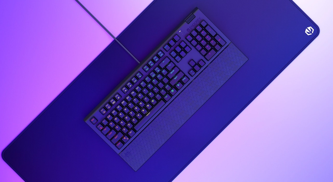 Klawiatura gamingowa ENDORFY Omnis Kailh Blue RGB (EY5A028) - zdjęcie 2
