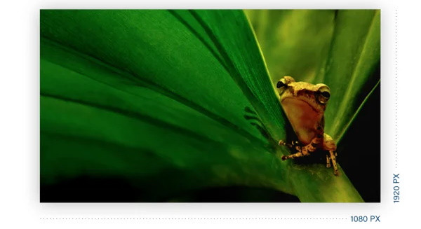 MONITOR AOC LED 21,5" 22B2H/EU - zdjęcie 4