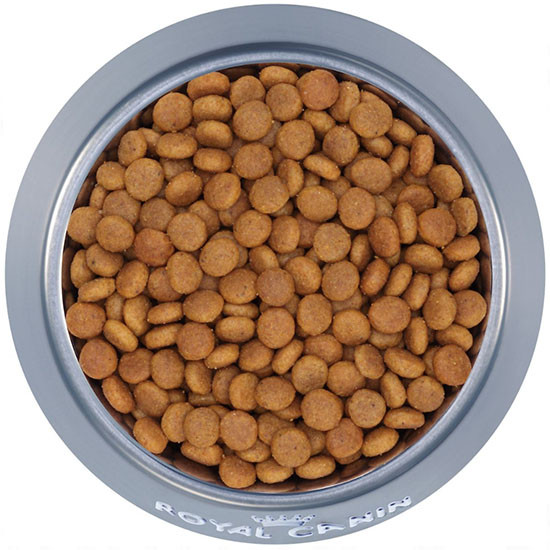 ROYAL CANIN Senior Ageing 12+ Sterilised - sucha karma dla kota - 2 kg - zdjęcie 3