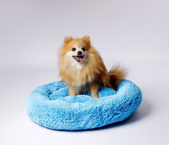 GO GIFT Shaggy niebieski L - legowisko dla zwierząt - 66 x 66 x 10 cm - zdjęcie 1