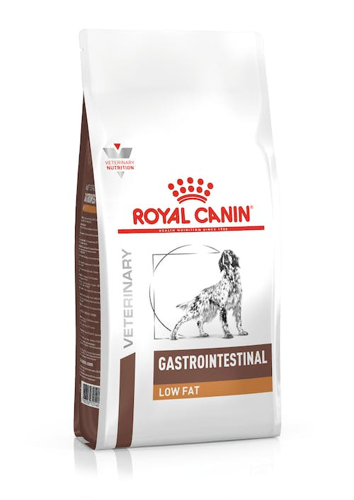 ROYAL CANIN Intestinal Gastro Low Fat 6kg - sucha karma dla psa - zdjęcie 2